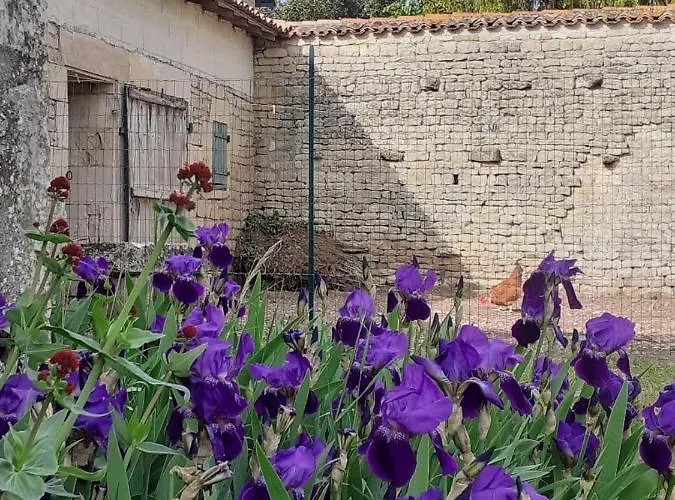 Homestay Chez Martine *